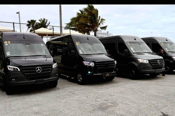 Van Up 14pax Ft Lauderdale Airport or Hotel to Port Mia or Hotel - Photo 1 of 14